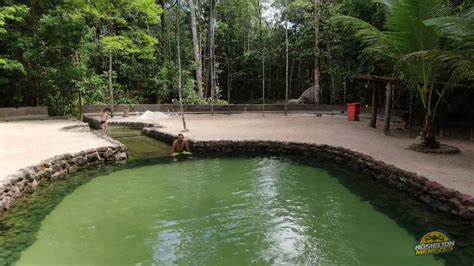 A Floresta de Bambu da Cidade de Ankang - Um Paraíso Verde e Refrescante para Aventuras Memoráveis!