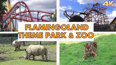 Flamingo Land, Um Parque Temático E Quase Zoológico?