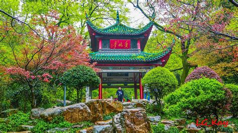 O Templo de Aiwan Pavilion Uma Joia Arquitetónica em Meio à Natureza exuberante!