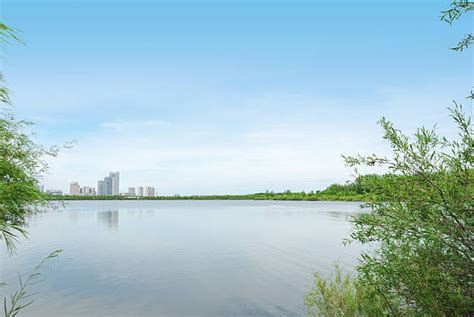 Parque do Lago Songhua, um Oásis Verde no Coração da Cidade e Refúgio para Aves Migratórias